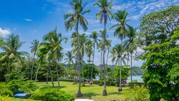 Apartment, 3 Bedrooms, Accessible, Terrace | Property grounds