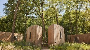Exterior - Lodge Loft Eco Luxe in the Heart of Nature for 2 People by the Lake 9 (Antoing)