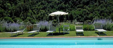 Appartement, 1 slaapkamer, terras, uitzicht op tuin | Zwembad | Een buitenzwembad