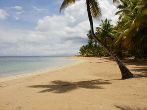 Villa, 3 Bedrooms, Smoking, Private Pool | Beach | On the beach - Charming Caribbean Style Villa Near Superb Beach (Las Terrenas)