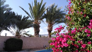 Uma piscina cercada por palmeiras e flores de bougainvillea rosa.