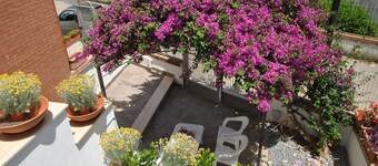La Bouganville Studio 200 m From the sea
