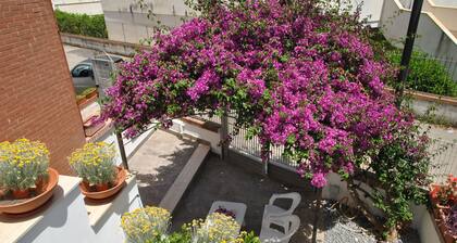 La Bouganville Studio 200 m From the sea