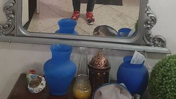 Apartment, 1 Schlafzimmer, Raucher, Balkon | Innenbereich