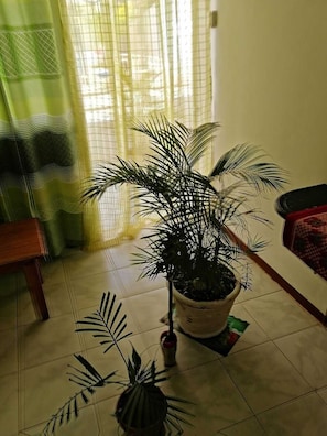 Shared Dormitory, 1 Bedroom, Smoking, Balcony | Living area