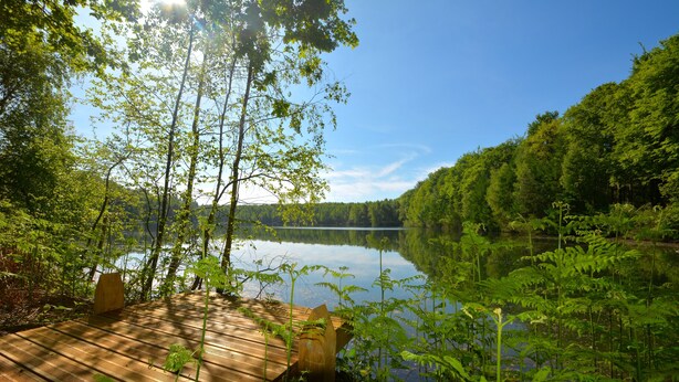 บริเวณที่พัก