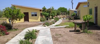 El Mezquite Hotel Mexicano Hab 2 Frida Kahlo