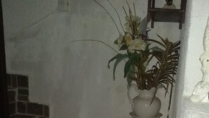 A staircase with a potted plant on a small table. - Room in Guest Room - Green Sea Villa Helen Inn, Kilometer 4 Circunvalar (San Andrés)