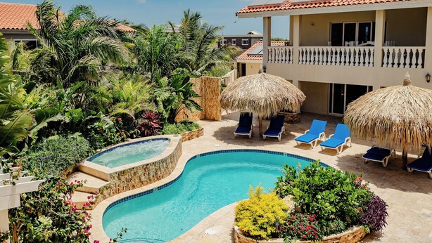 Una piscina con hidromasaje, rodeada de sillas de descanso y sombrillas de paja, con un jardín y palmeras al fondo.
