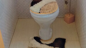 Des toilettes avec un tapis sur le sol.