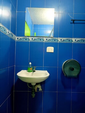 A bathroom with blue tiles, a white sink, a green bottle of hand soap, a mirror, and a toilet paper holder.