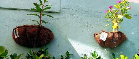 Dormitorio compartido, 3 habitaciones, con acceso para personas discapacitadas, para fumadores | Áreas de la propiedad