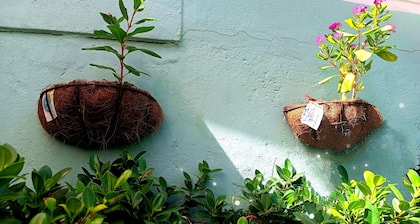 Room in House - Posada Nativa Green Sea San Luis