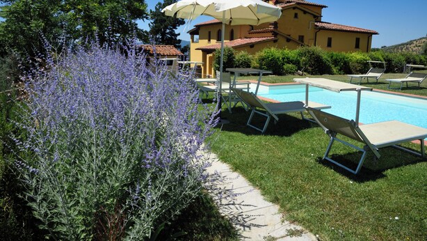 House, 2 Bedrooms, Balcony, Garden View | Pool | Outdoor pool - Il Bellini - Tuscany Farmholiday (Castelfranco Piandisco)