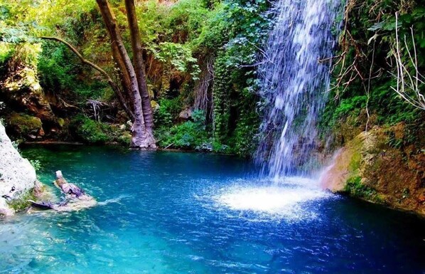 A clear blue pool with a waterfall, surrounded by lush greenery.