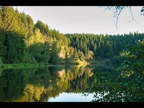 Casa, 2 habitaciones, patio | Exterior