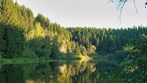 A serene lake surrounded by dense forest. - Come to This House to Stay for Holidays (Oberharz am Brocken)