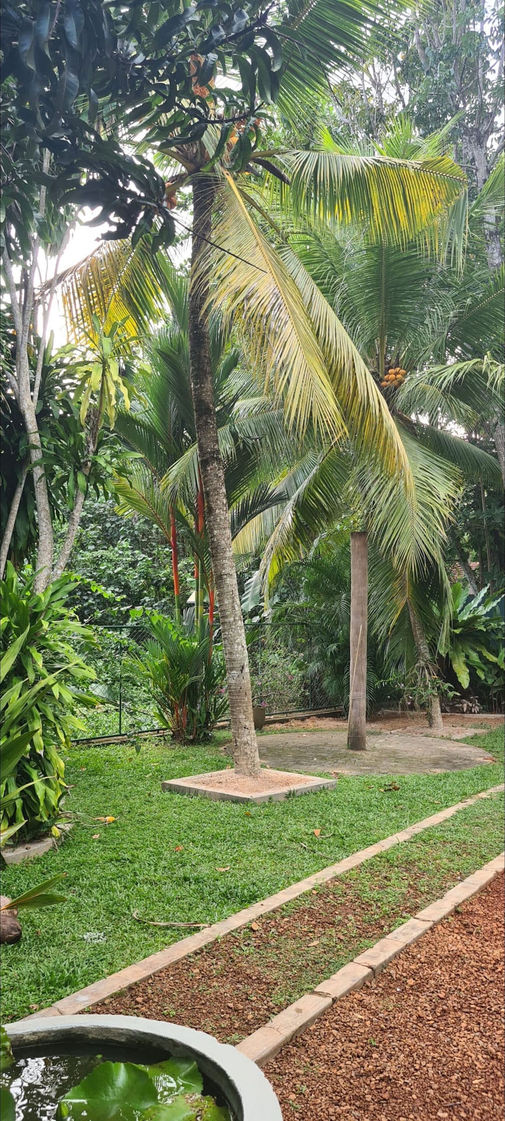 Suma Villa 240 Bentara Uragaha Elpitiya Rd Bentota