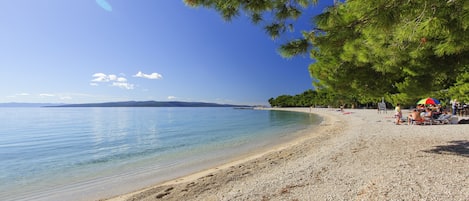 Appartamento, 1 camera da letto, fumatori, vista giardino | Spiaggia