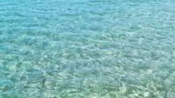 House, 1 Bedroom, Smoking