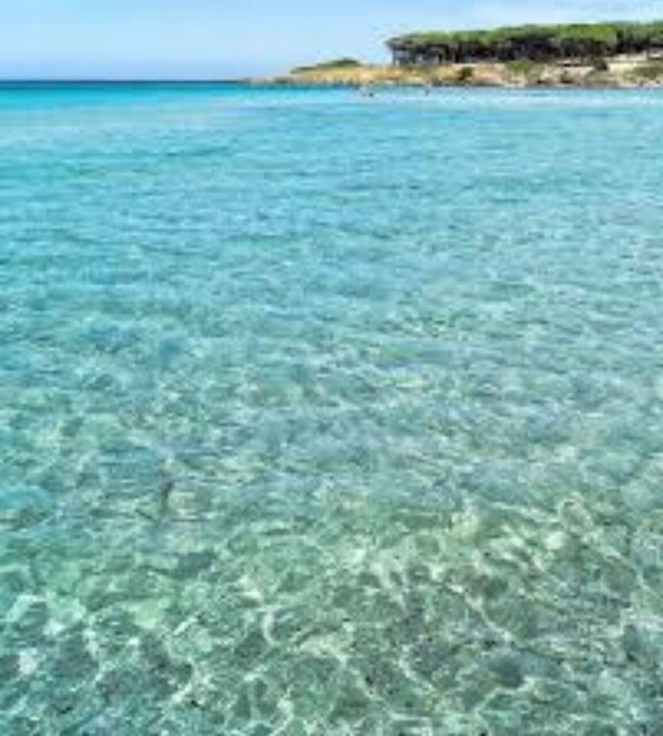 Maison, 1 chambre, fumeur