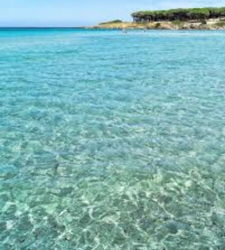 Sweet Thought Cottage