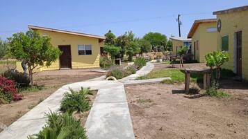Habitación, 1 habitación, con acceso para personas discapacitadas, patio | Jardín