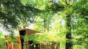 Khuôn viên nơi lưu trú