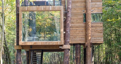 Treeloft Adventure in Nature for 4 People 6