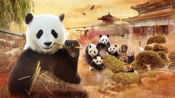 A panda holding a stick, surrounded by other pandas and red pandas in a traditional Chinese setting with a temple in the background. - House With Free Parking 15 Min From The Airport (Charleroi)