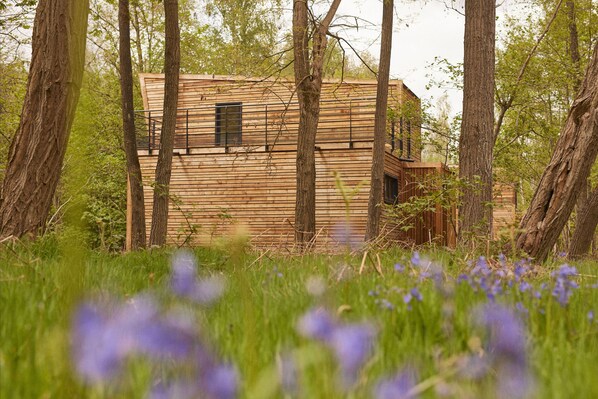Unclassified image, 1 of 33, button - Nature Cottage Villa for 4 People 6 (Antoing)
