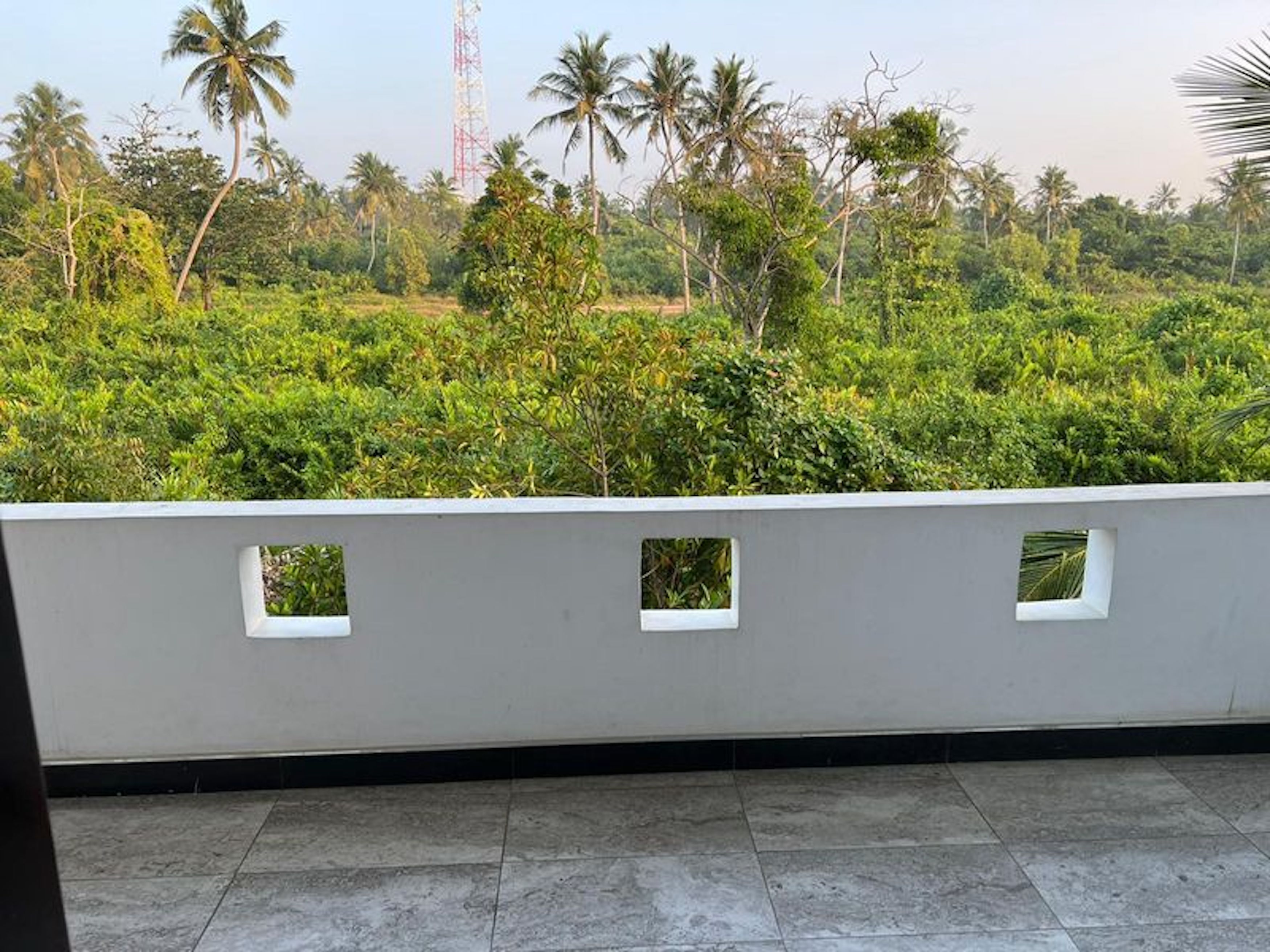 Photo - Ja-Elas French Touch 5