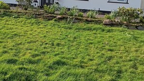 A white house with a grey roof, a front door, and two windows. There is a well-maintained lawn in front of the house. - Room in Bungalow - Very Nice View With This Room (Sneem)