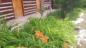 Una cabaña de troncos con puerta y ventana de madera, rodeada de un jardín con flores naranjas y follaje verde.