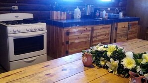 Interior de madera con una zona de cocina que incluye una estufa, un fregadero y armarios de madera.
