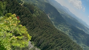 Un paisaje montañoso con bosques densos y cielo despejado.