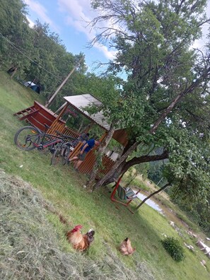 Room, 1 Bedroom, Smoking, Patio | Children’s area - Room in Guest Room - Rural Holiday Transylvania (Rosia Montana)