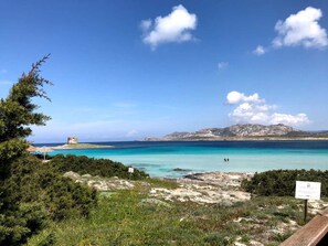 Apartment, 1 Bedroom, Smoking | Beach
