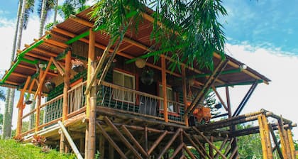 Glamping Cabin - With Pool