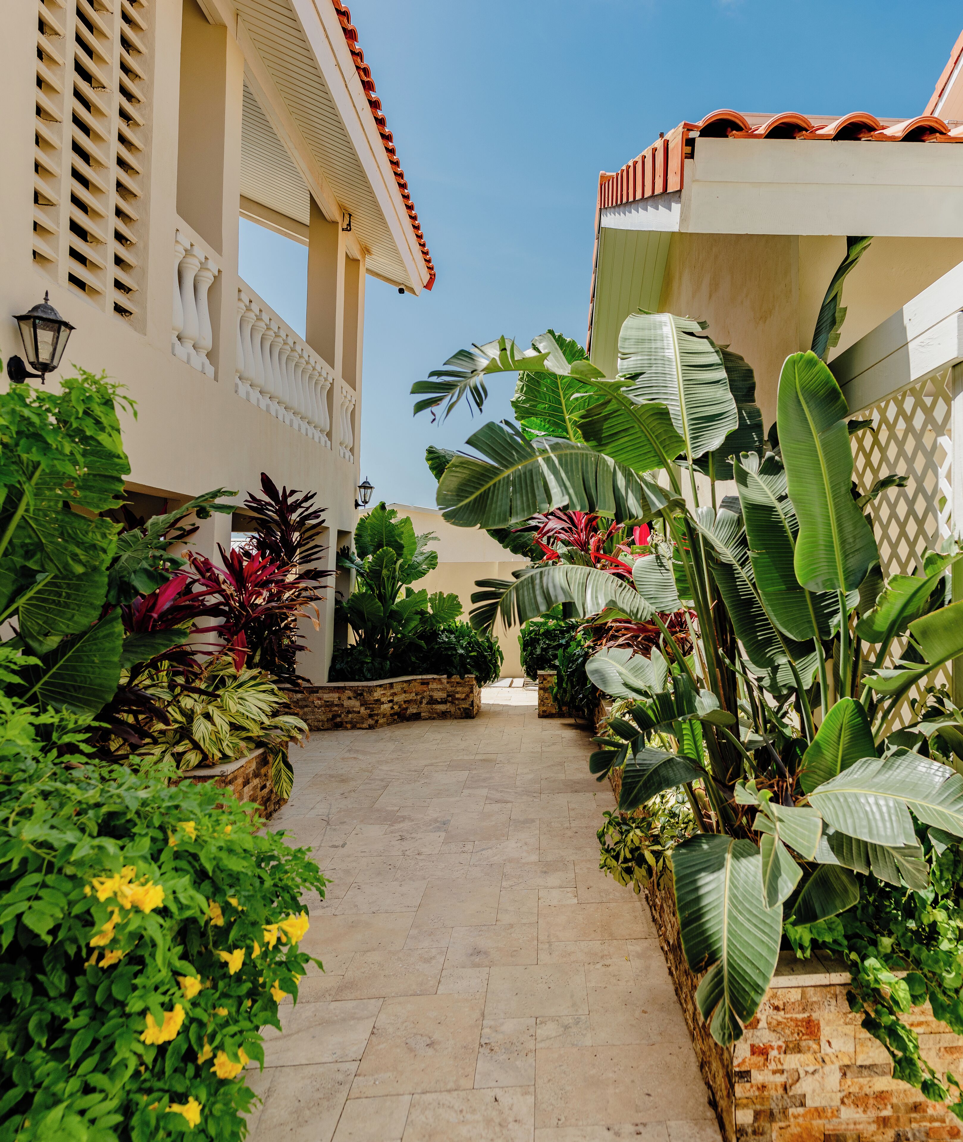 Apartment, 1 Bedroom, Accessible, Patio | Garden