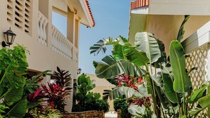 A paved pathway flanked by lush tropical plants and a building with a tiled roof. - Charming 1-bedroom Apartment 2 km From Eagle Beach (Noord)