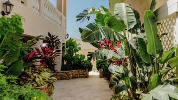 Apartment, 1 Bedroom, Accessible, Patio | Garden