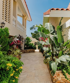 A paved pathway flanked by lush tropical plants and a building with a tiled roof and columns.