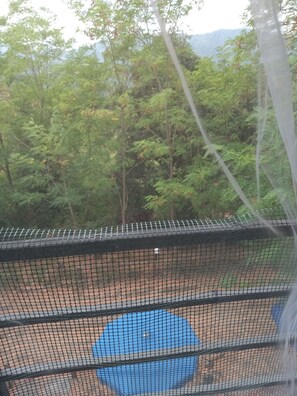 View from property - Adventure Holiday in Cilento (Tortorella)