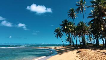 Apartment, 1 Bedroom, Accessible, Smoking | Beach