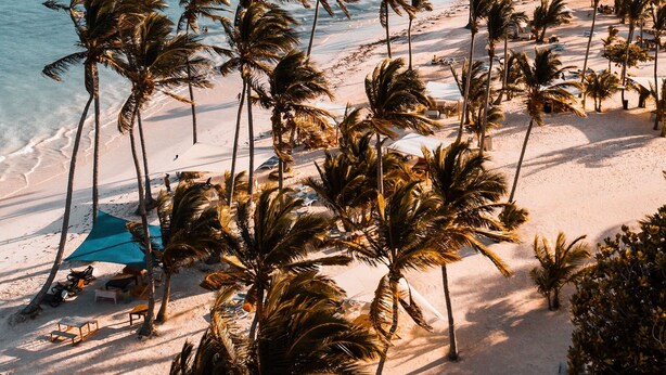 A beach with palm trees and a clear sky. - Srvittinivillas Aptla/p11 Great Apartment /work Travel / Couple /altos de Chavon (La Romana)