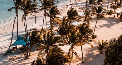 Srvittinivillas Aptla/p11 Great Apartment /work Travel / Couple /altos de Chavon