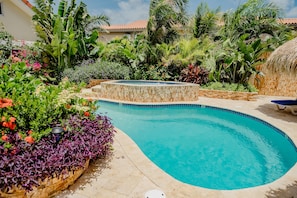 Pool - Best Quality 2-bedroom Apartment 2 km From Eagle Beach (Noord)