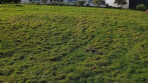 A two-story house with a flat roof, a front porch, and a well-maintained lawn. - Room in Apartment - 1 Bedroom In A Homely Home With A Lovely Farm (Sneem)
