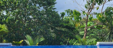 House, 3 Bedrooms, Private Pool, Garden View | Pool